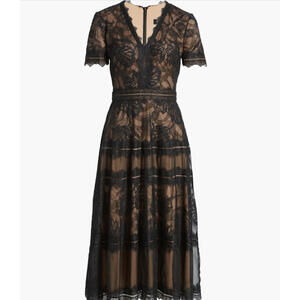 NWT, TADASHI SHOJI Lace & Mesh Midi Cocktail Dress in Black/Nude Size 14 #MD891